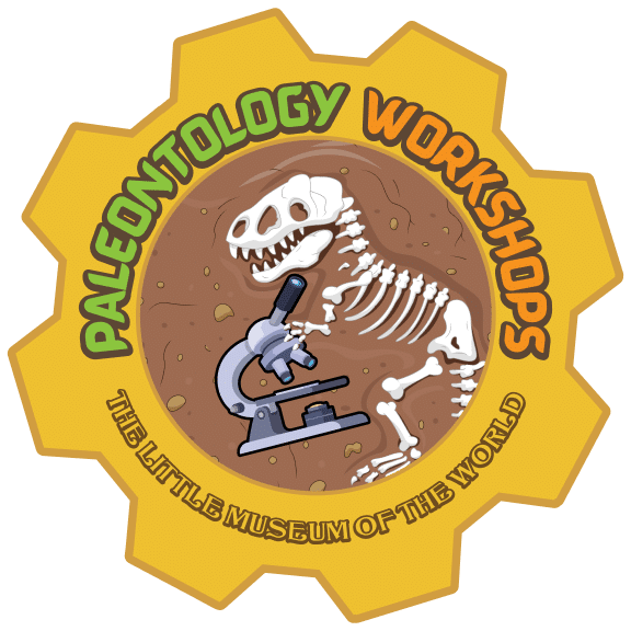Paleontology Classes – Little Museum of the World
